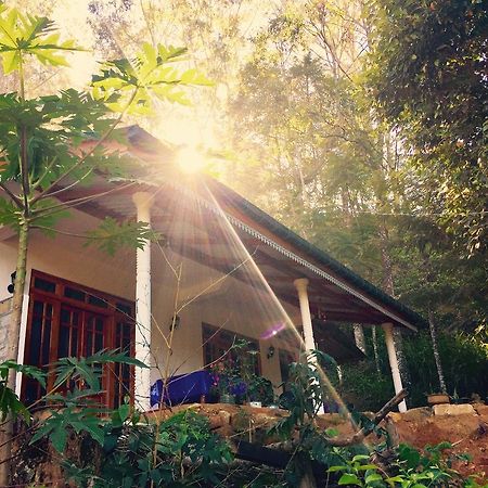 Secret Nest Homestay Ella Exteriör bild