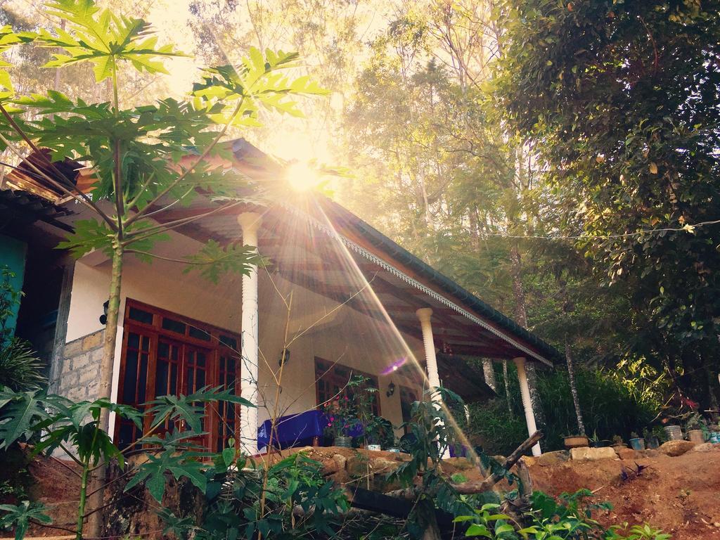 Secret Nest Homestay Ella Exteriör bild
